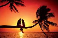 Partnersuche