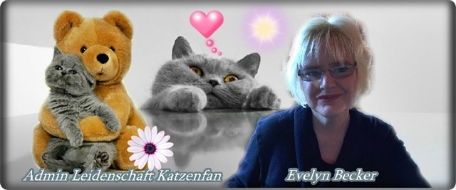 943754_499525733453948_577790626_n