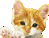 Deafcoolkitty