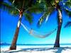 Paradies