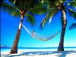 Paradies