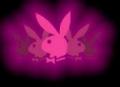 Playboy123