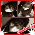 SanDu