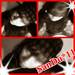 SanDu